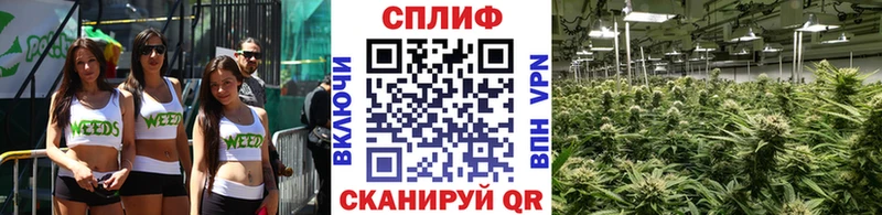 Купить наркотик аптеки Джанкой Псилоцибиновые грибы  МЕФ  МАРИХУАНА  Кокаин 