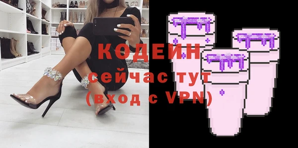 мдпв Елизово