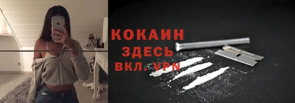 амф Арсеньев