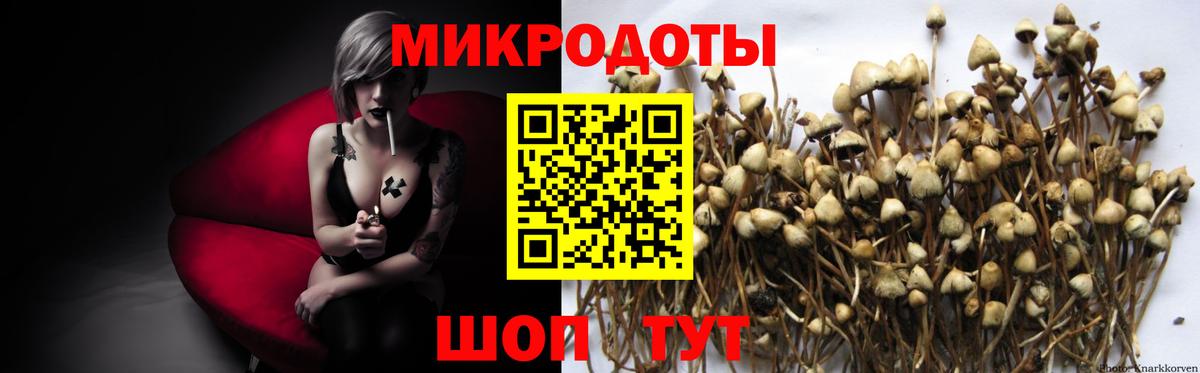 Джанкой  Галлюциногенные грибы Psilocybe  Вход с VPN 